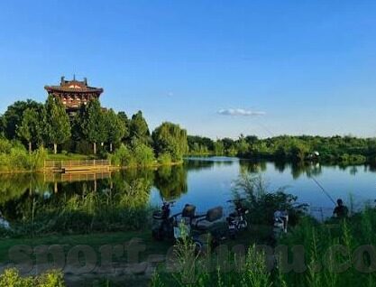兑彩足球比分直播-兑彩足球比分直播，实时追踪绿茵激情，畅享足球盛宴