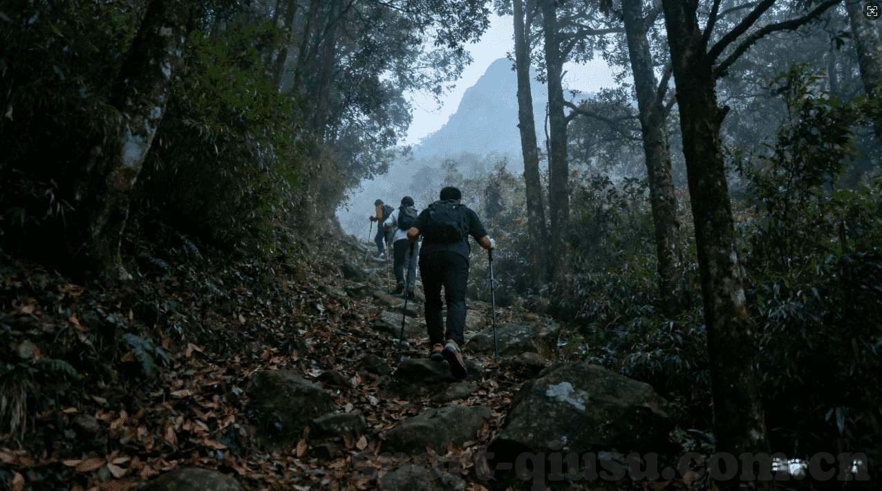 问道九游官网下载-问道九游官网下载，开启你与经典游戏的传奇之旅